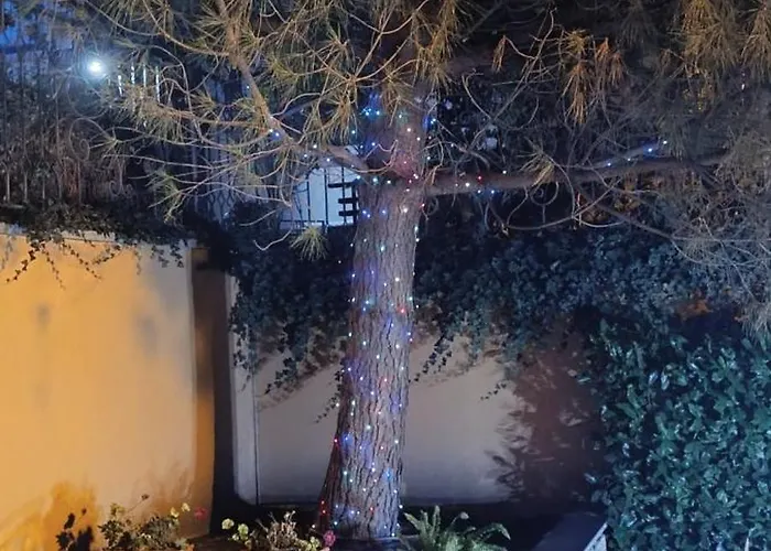 Boulevard Sea Residenz 5* Сонячний Берег